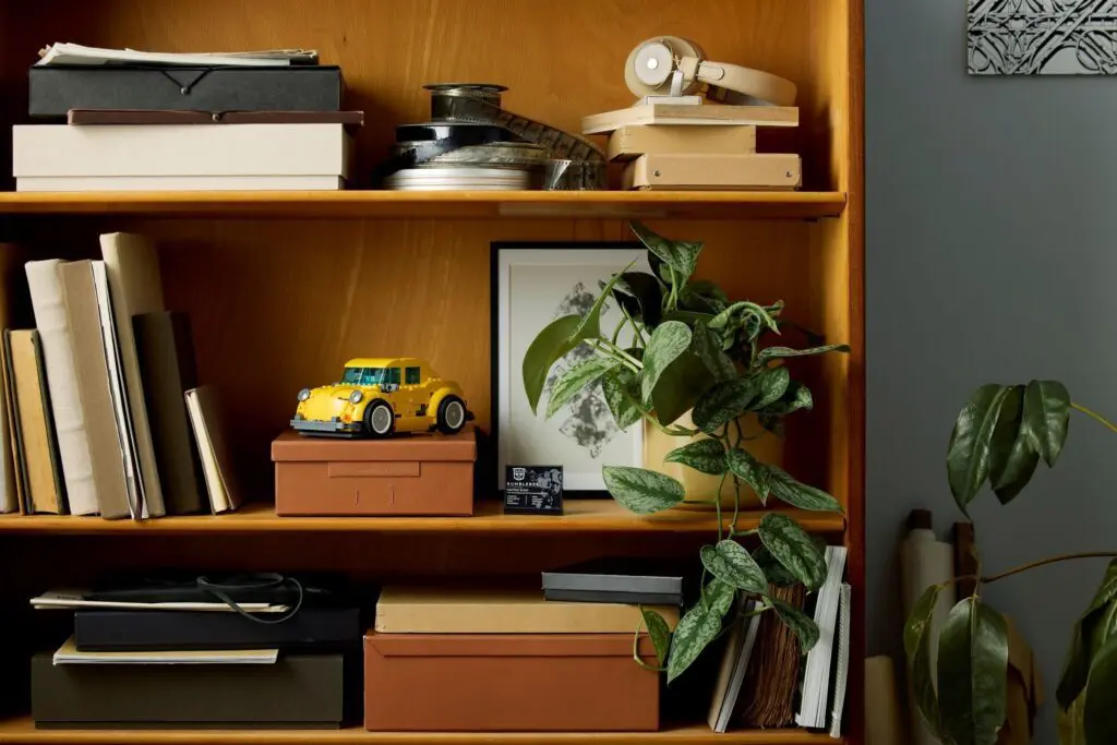Wooden shelf with books and plants