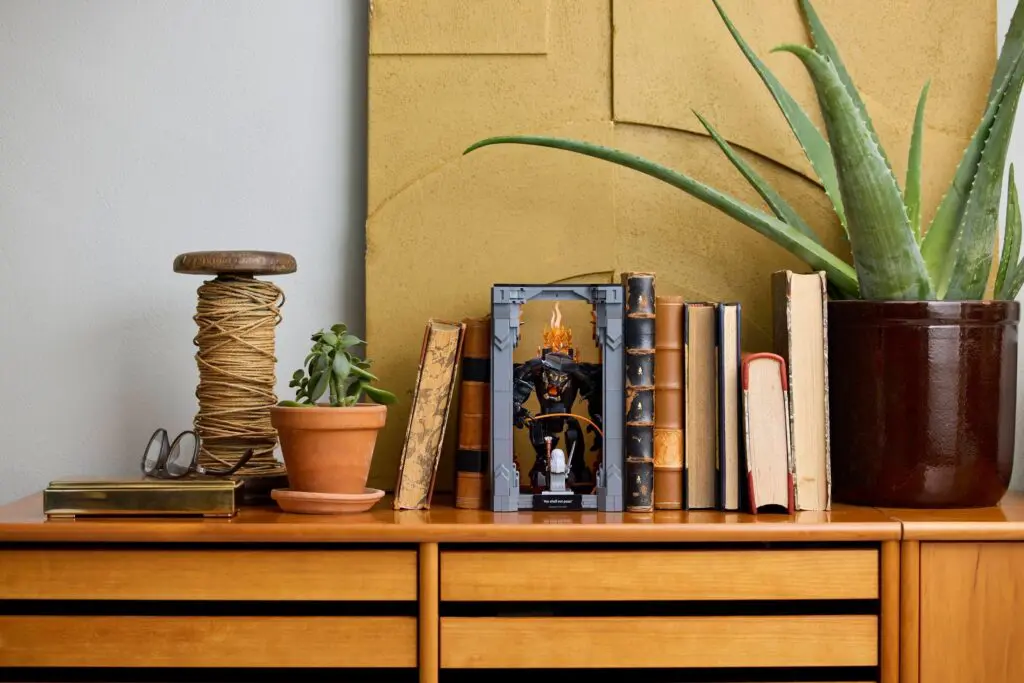 Wooden shelf with books and plants