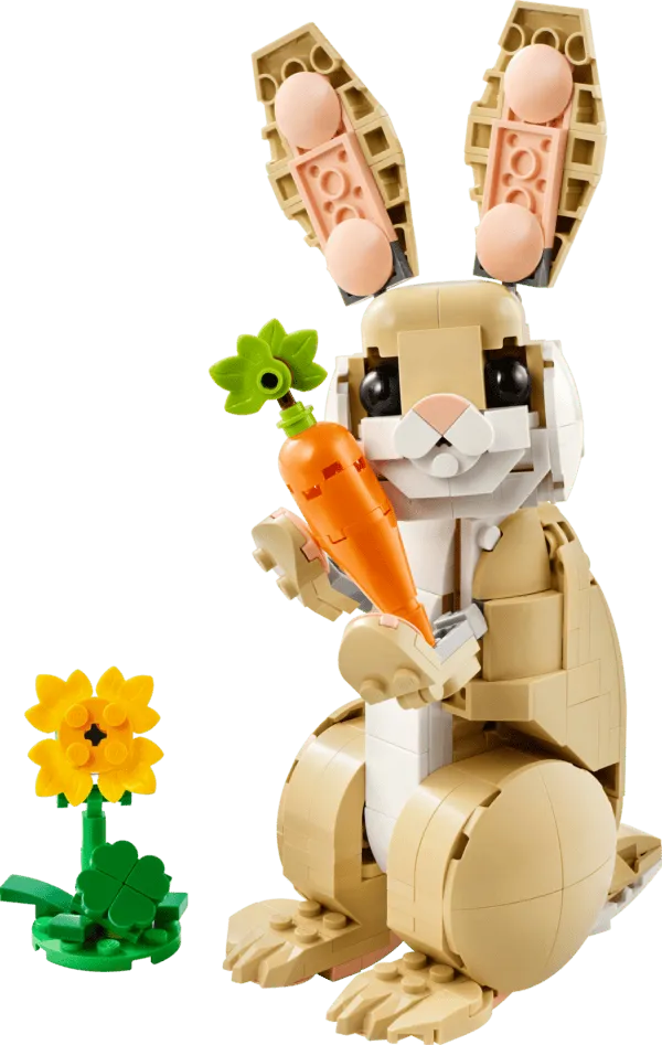 Cute Bunny