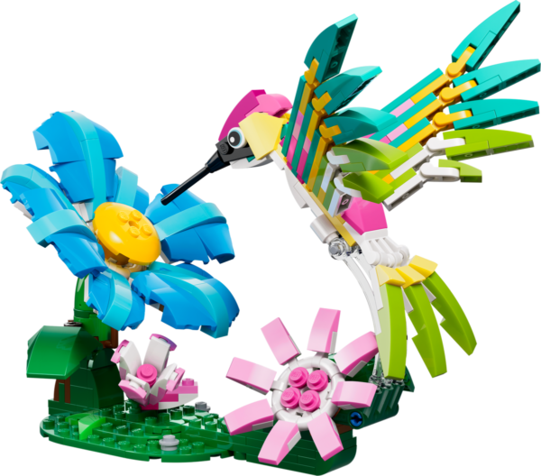 Colourful Hummingbird