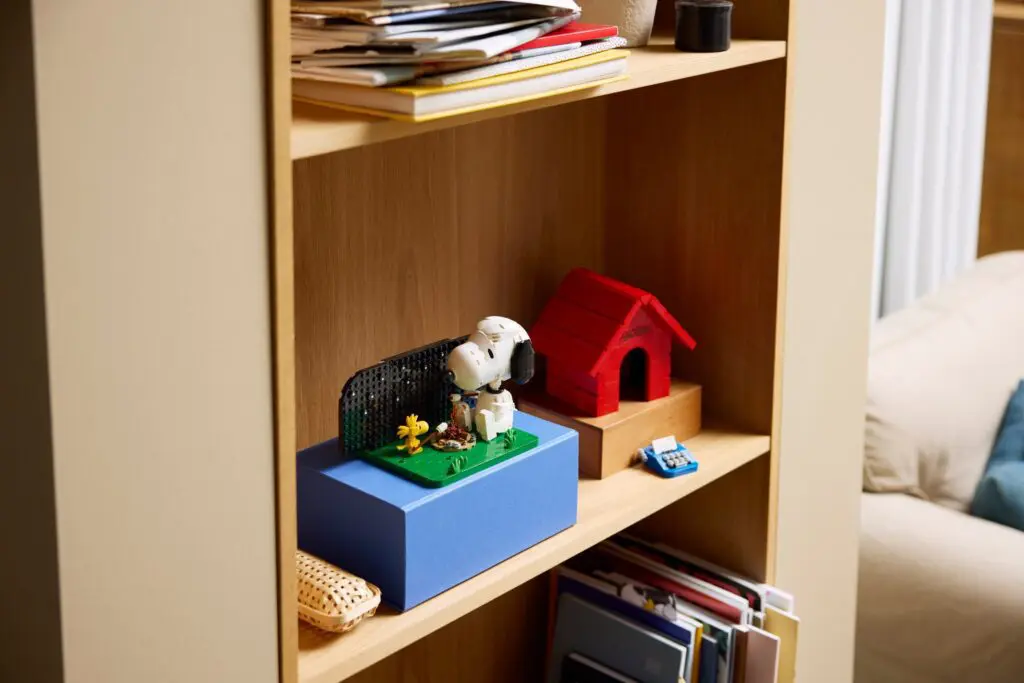 Wooden shelf with dog toy display