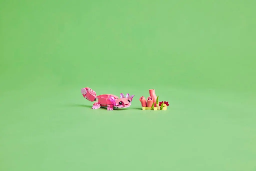 Colorful toy axolotl and coral set