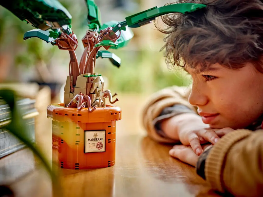 Curious child observing LEGO botanical creation
