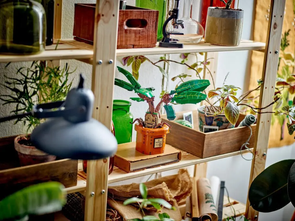 Home office with plants and books