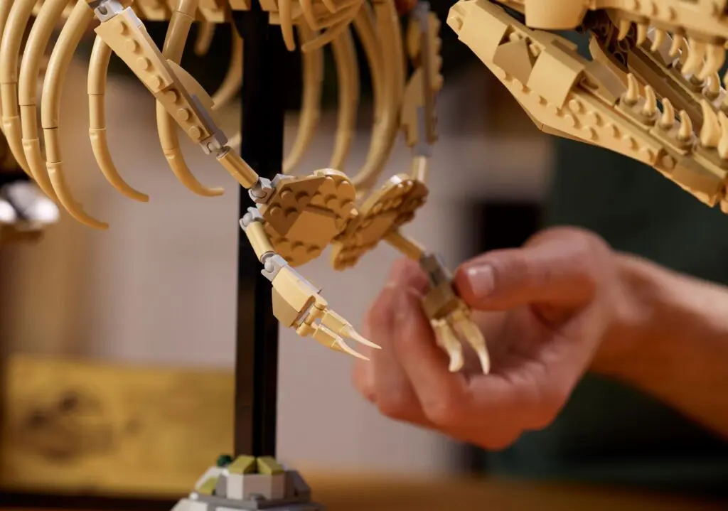 Building a LEGO dinosaur skeleton