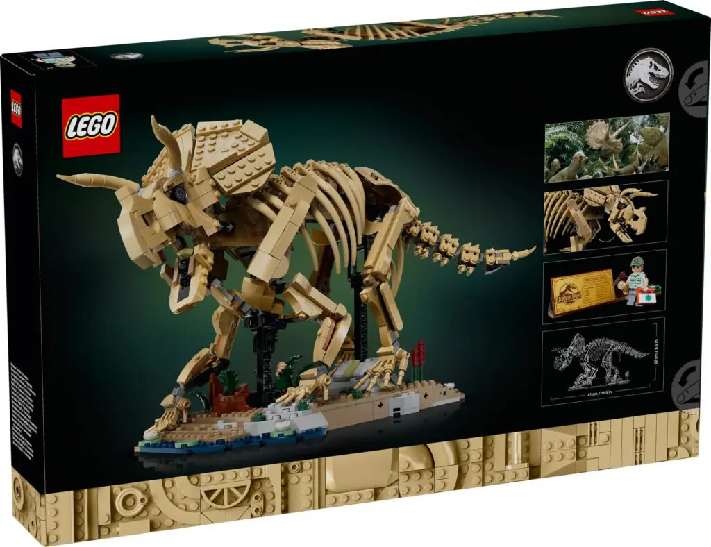 Triceratops skeleton LEGO kit