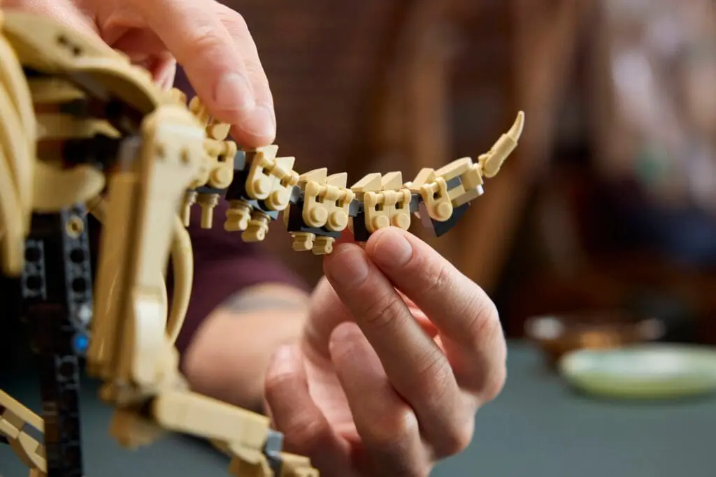 Hands assembling dinosaur tail from blocks