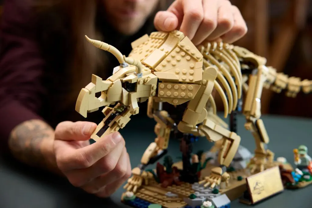 Assembling a Lego triceratops model