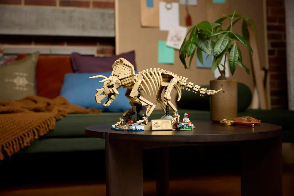 Dinosaur skeleton model on a table
