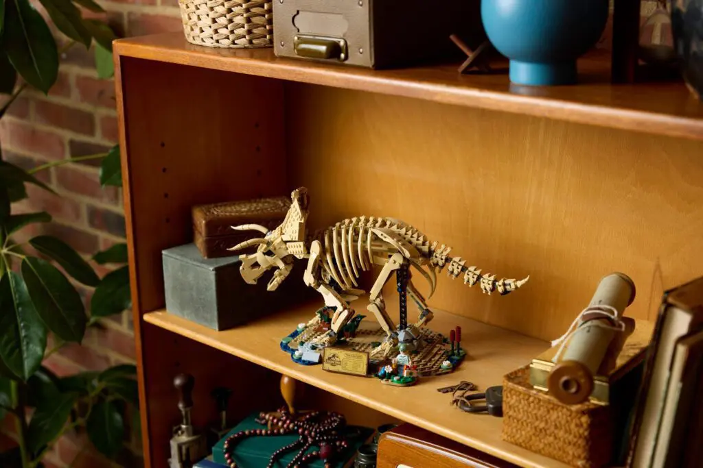 Wooden dinosaur model on bookshelf