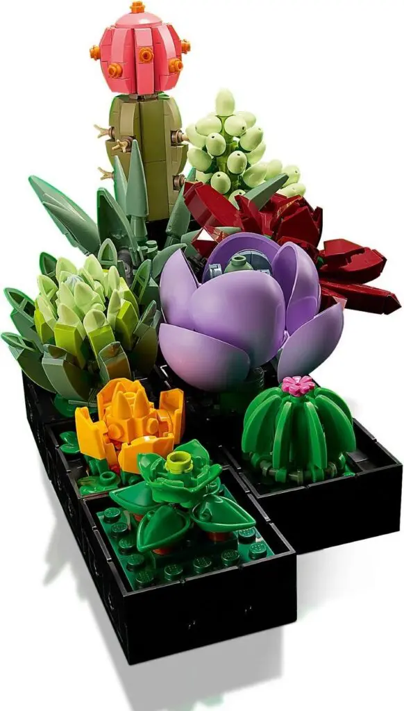 LEGO Icons Succulents - view 4