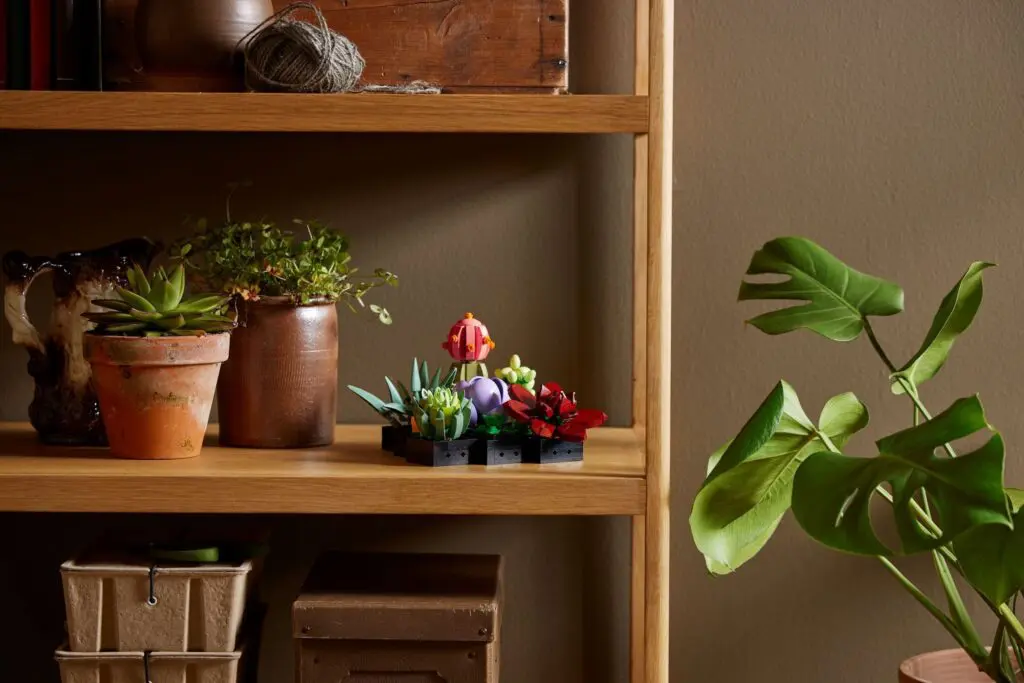 LEGO Icons Succulents - view 9