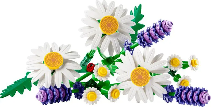LEGO Botanicals Daisies