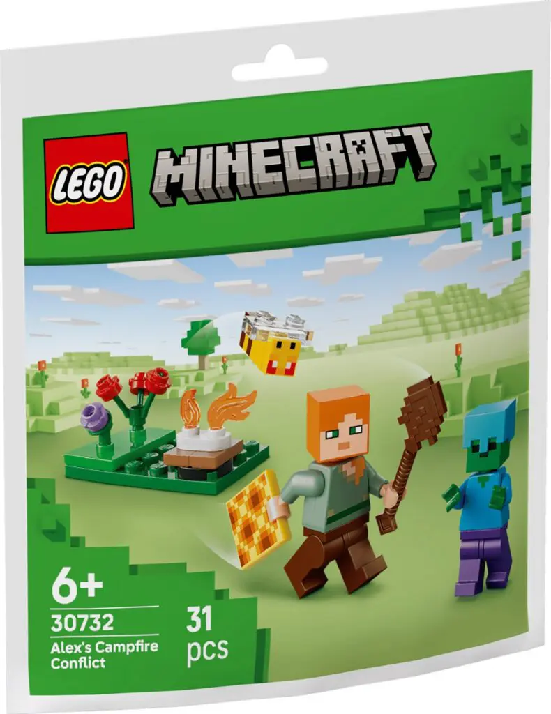LEGO Minecraft Alex's Campfire Conflict - view 2